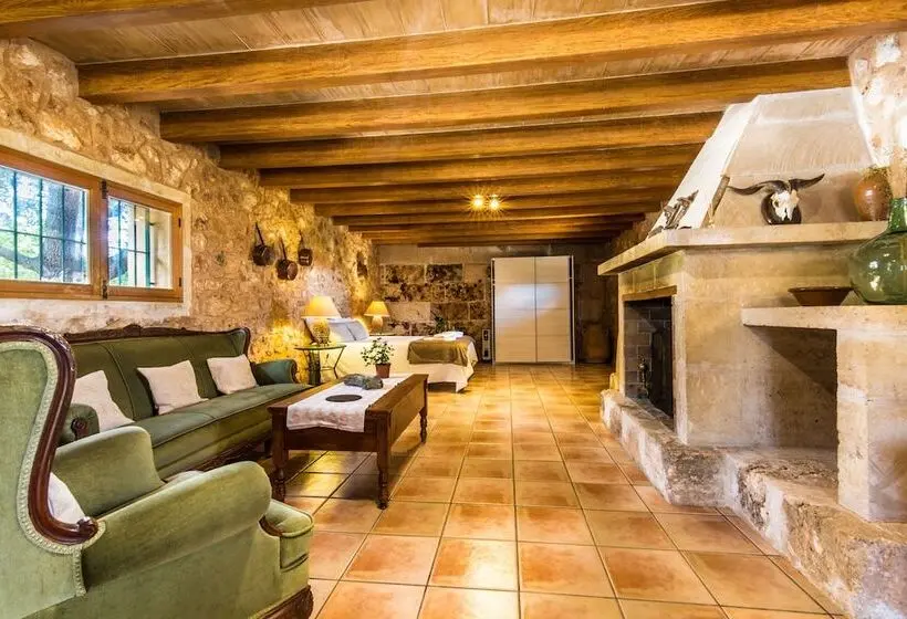 スーペリアスタジオ, Finca Agroturismo Sa Cova Den Borino