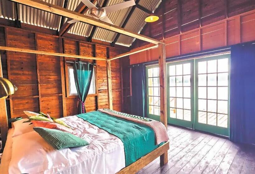 Бунгало Стандарт, The Sea Monkey