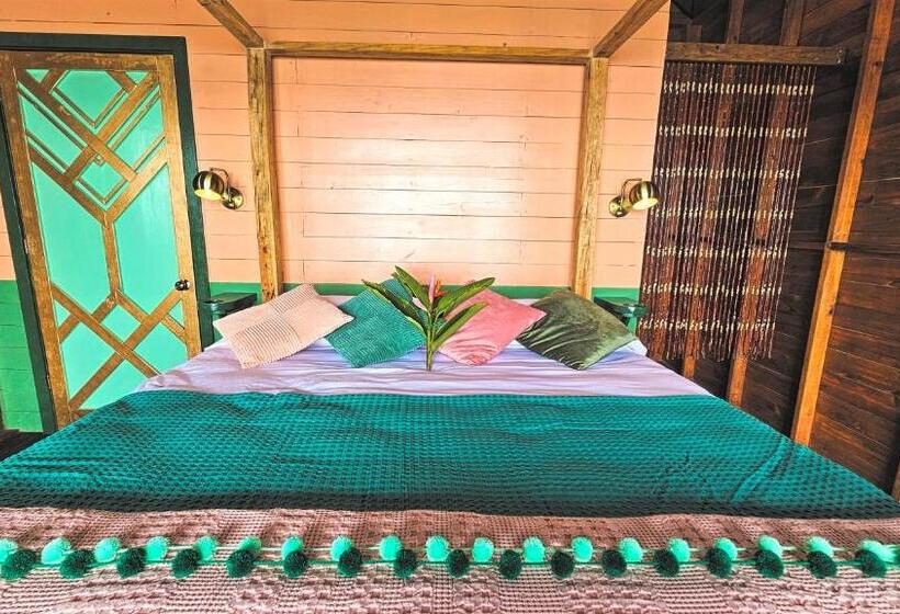 Бунгало Стандарт, The Sea Monkey