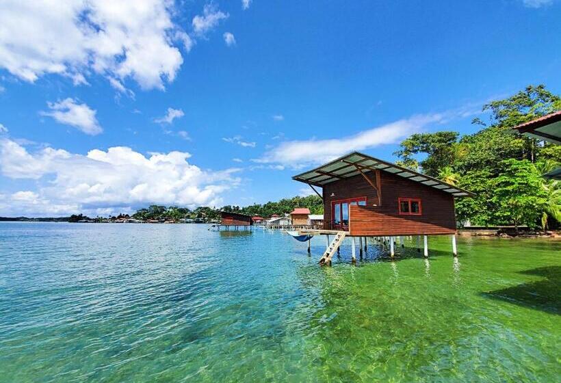 Трехместный Номер Deluxe Вид на Море, The Sea Monkey