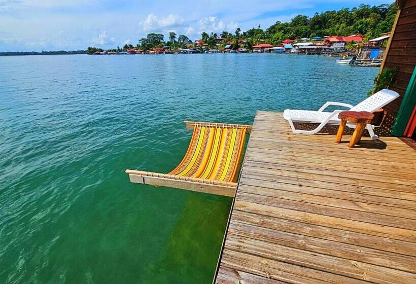 Четырехместный Номер Стандарт Вид на Море, The Sea Monkey