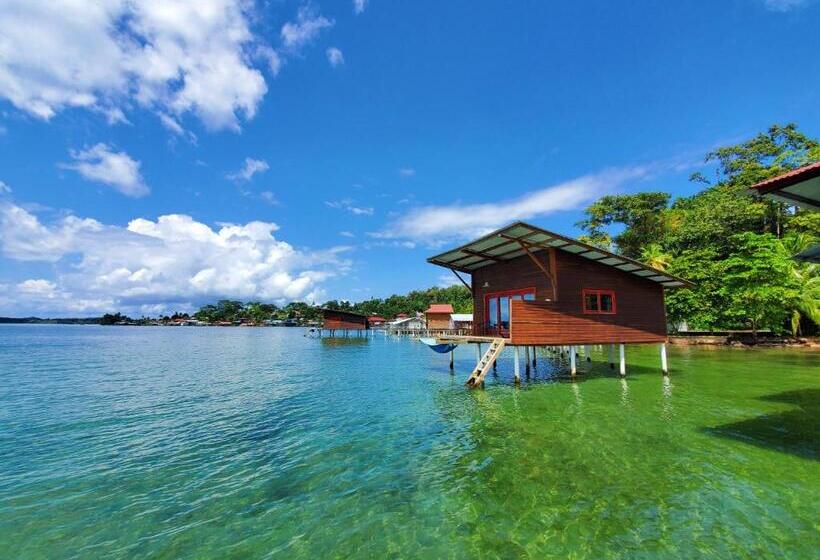 Четырехместный Номер Стандарт Вид на Море, The Sea Monkey