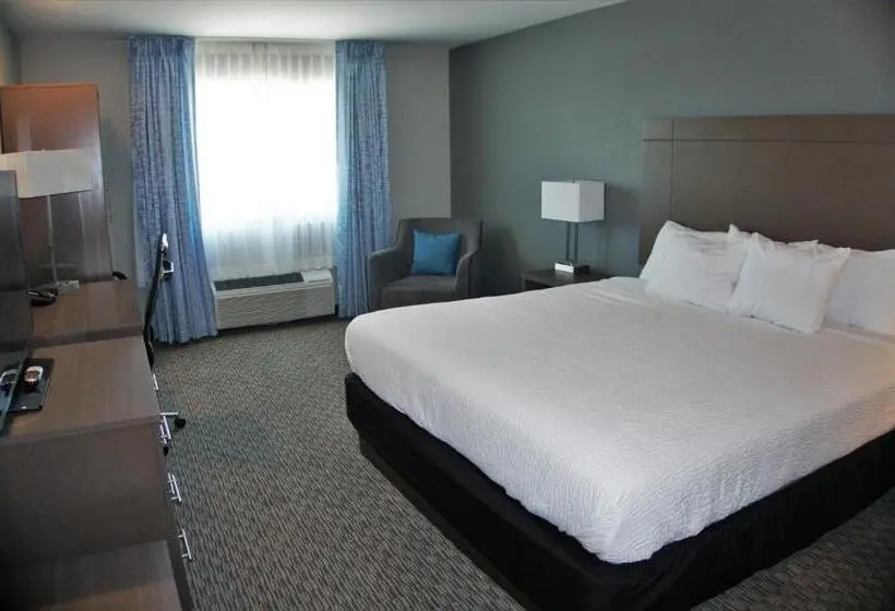 اتاق لوکس با تخت بزرگ, Brookstone Inn & Suites