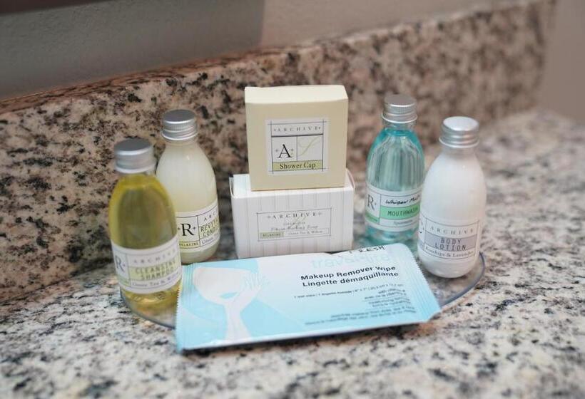 غرفة قياسية سرير كينج لذوى الإحتياجات الخاصة, Brookstone Inn & Suites