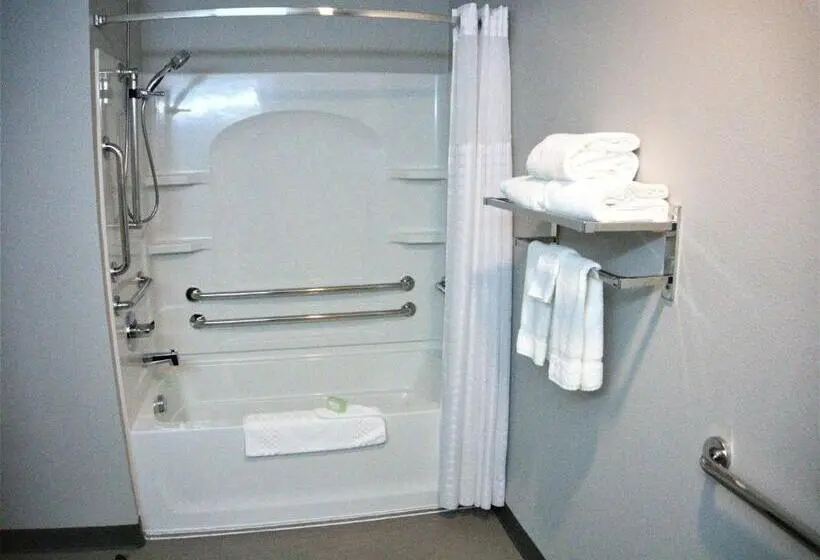 اتاق استاندارد با تخت بزرگ برای معلولان, Brookstone Inn & Suites