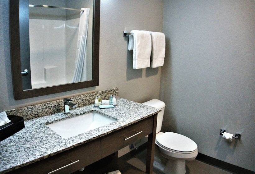 غرفة ديلوكس سرير كينج, Brookstone Inn & Suites