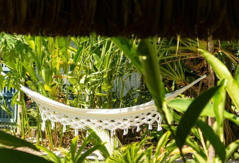 Chalet, Vivertrancoso