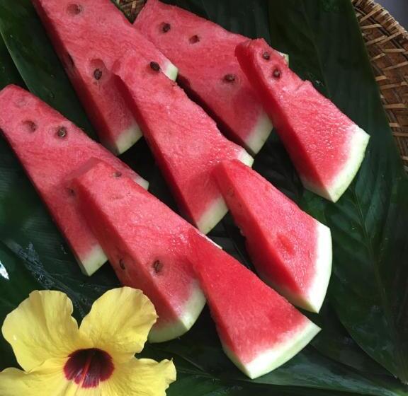 Chalet, Vivertrancoso