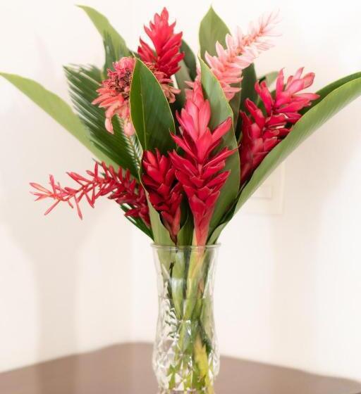 Suite con Balcone, Vivertrancoso