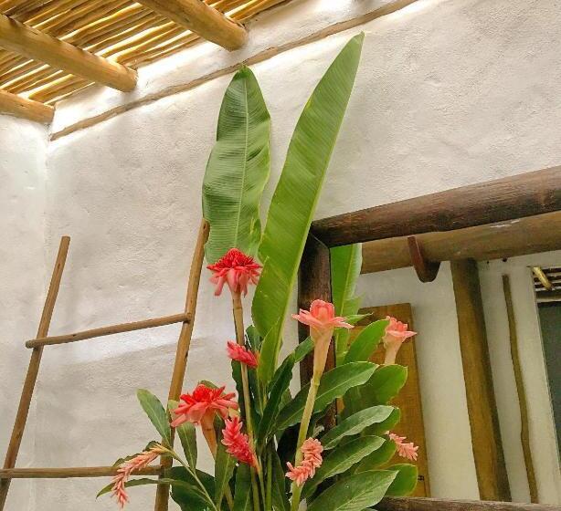 Suite Vista Giardino, Vivertrancoso