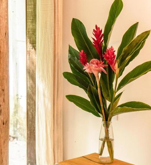 Suite Vista Giardino, Vivertrancoso