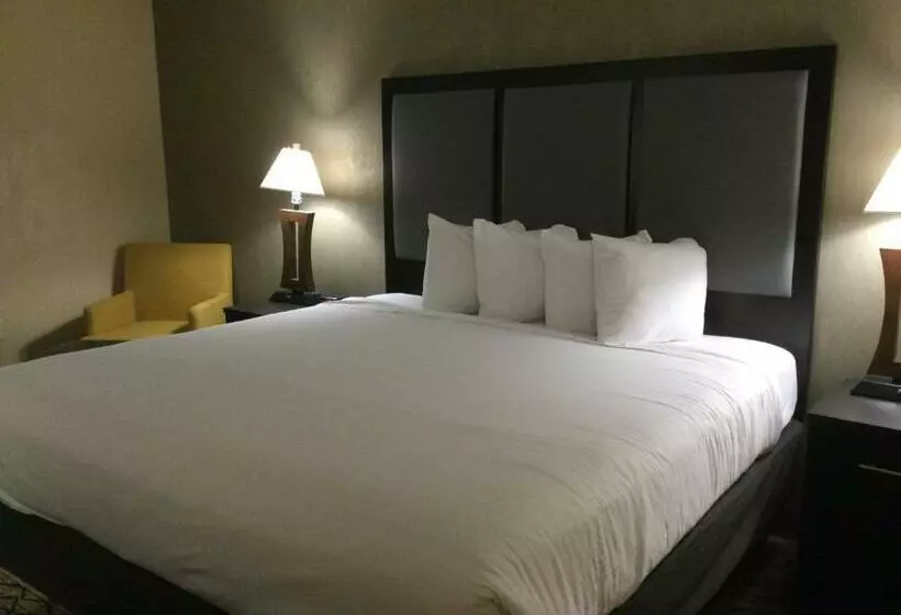キングサイズベッドのスタンダードルーム, Baymont By Wyndham Bridgeport/frankenmuth