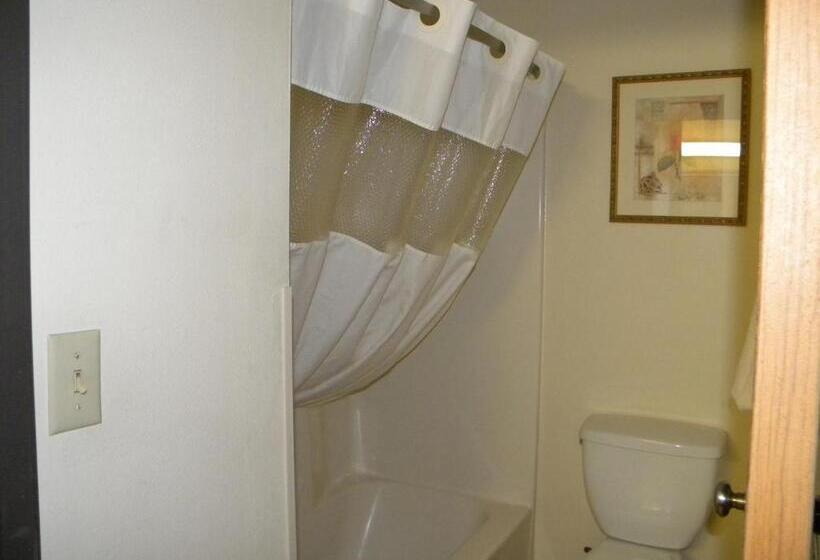 جناح سرير كينج, Baymont By Wyndham Jackson