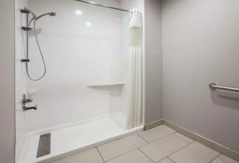 اتاق استاندارد با تخت بزرگ, Baymont By Wyndham Traverse City