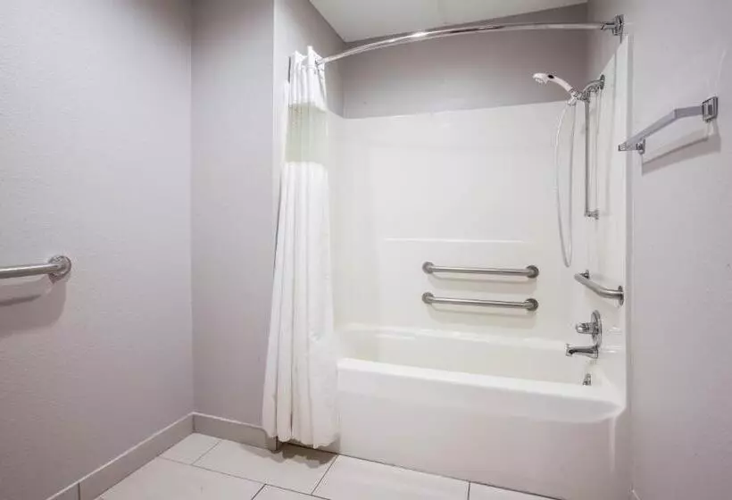 اتاق استاندارد با تخت بزرگ, Baymont By Wyndham Traverse City