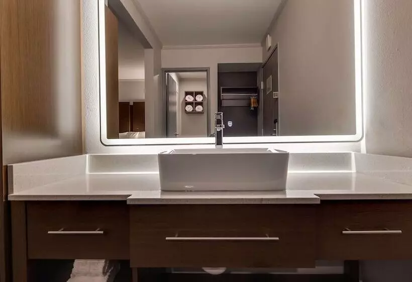 اتاق استاندارد با 2 تخت دوبل, Best Western Huntsville