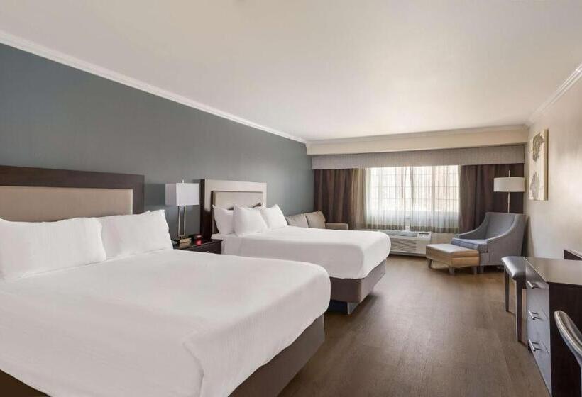 חדר סטנדרט, Best Western Mountain View Inn