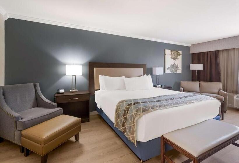 חדר סטנדרט, Best Western Mountain View Inn