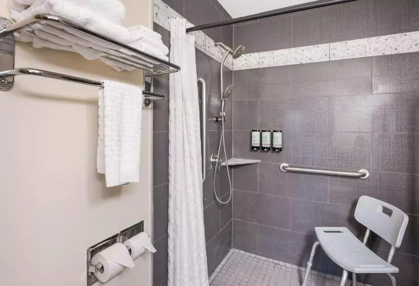 Standard-invahuone King-vuode, Best Western Mountain View Inn