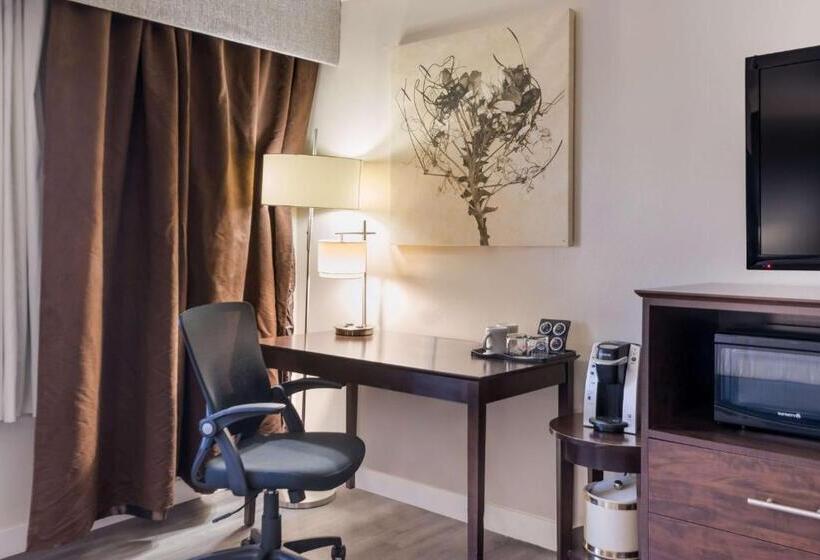 غرفة قياسية سرير كينج لذوى الإحتياجات الخاصة, Best Western Mountain View Inn