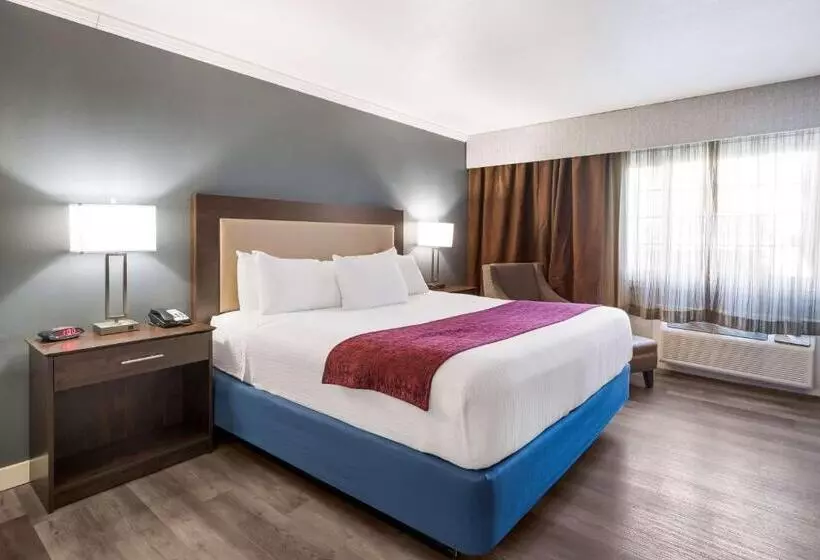 Standard-invahuone King-vuode, Best Western Mountain View Inn