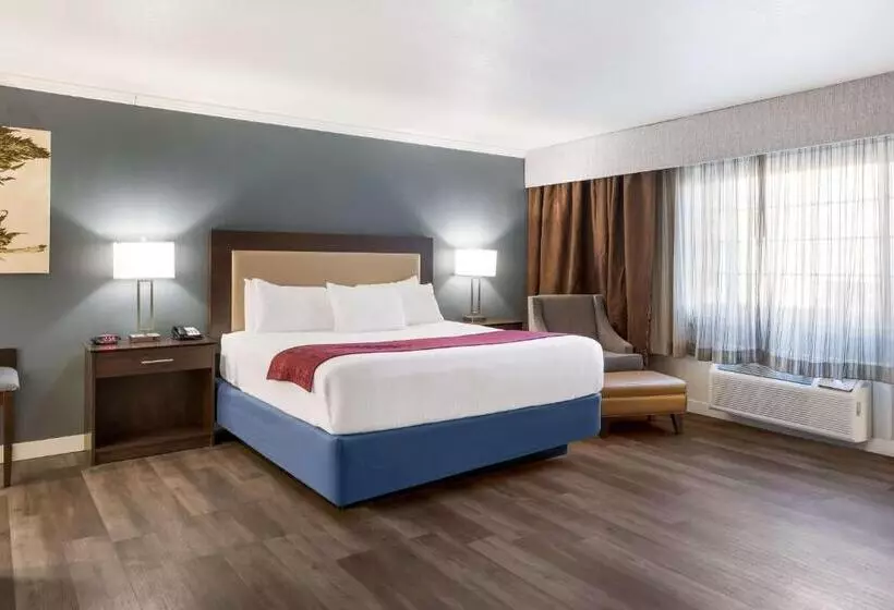 Standard-invahuone King-vuode, Best Western Mountain View Inn