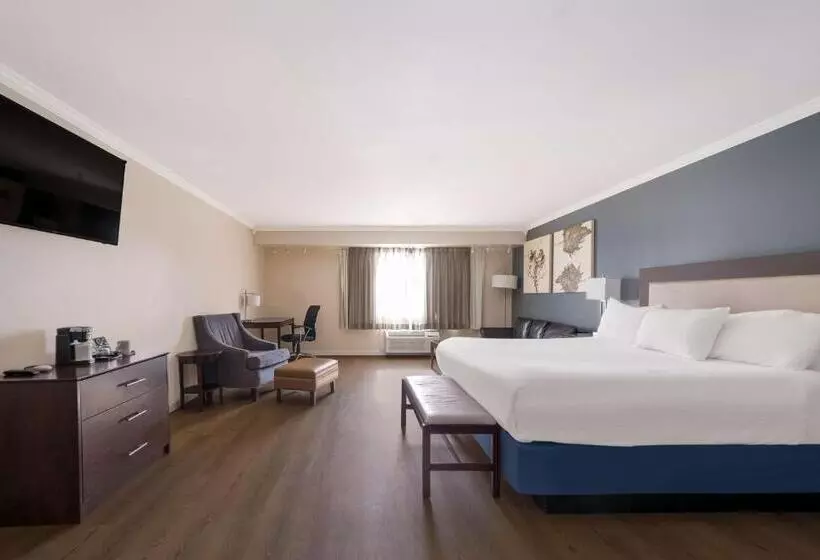 Standard-huone King-vuode, Best Western Mountain View Inn