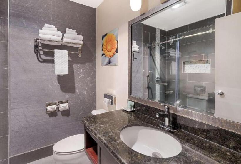 חדר סטנדרט עם מיטת קינג, Best Western Mountain View Inn
