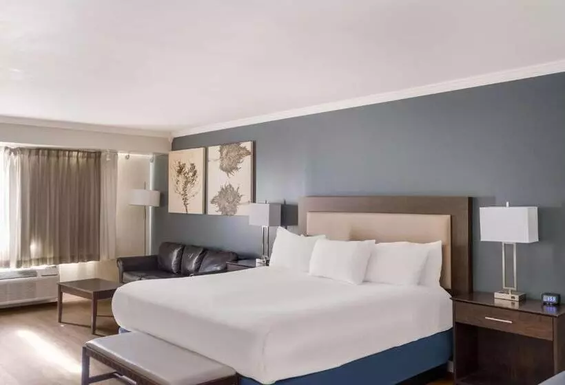 Standard-huone King-vuode, Best Western Mountain View Inn