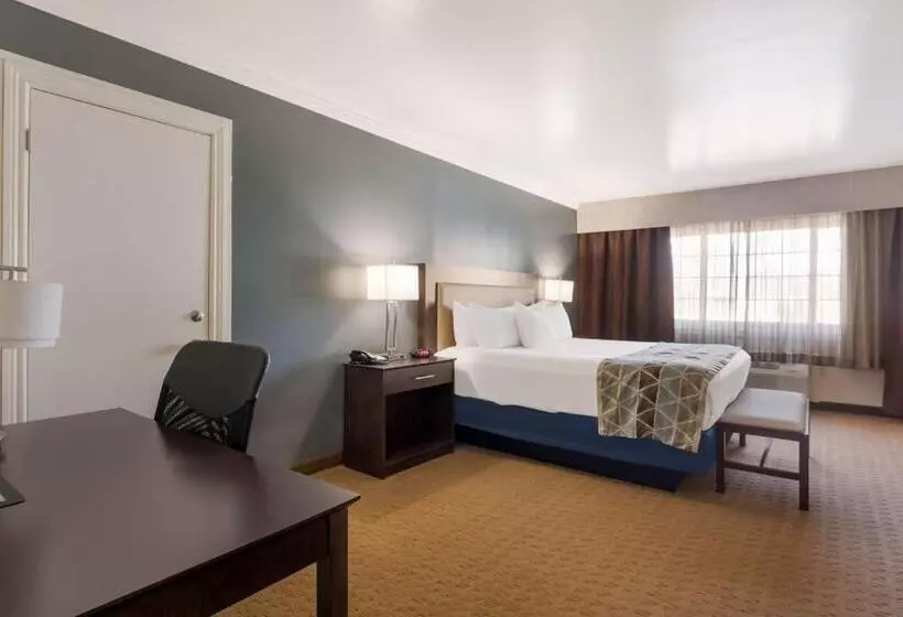 Sviitti King-vuode, Best Western Mountain View Inn