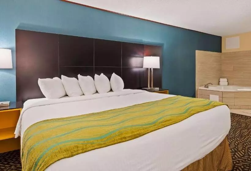 اتاق استاندارد با تخت بزرگ, Best Western St. Louis Inn