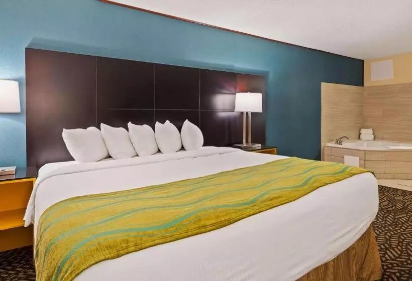 اتاق استاندارد با تخت بزرگ, Best Western St. Louis Inn