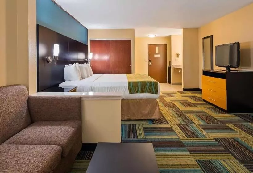 اتاق استاندارد با تخت دوبل, Best Western St. Louis Inn