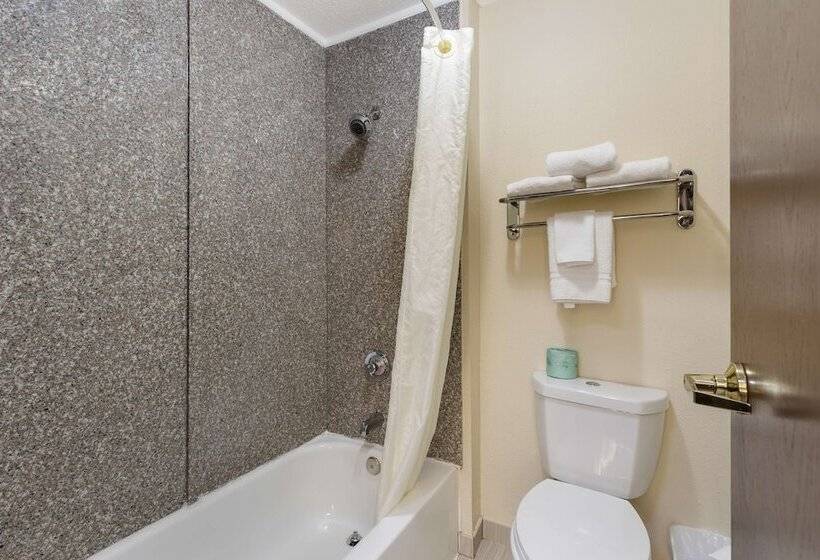 스탠다드 룸 더블 침대, Best Western St. Louis Inn