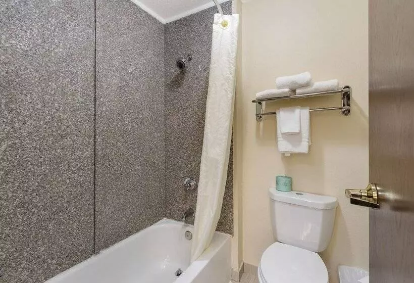 اتاق استاندارد با تخت دوبل, Best Western St. Louis Inn