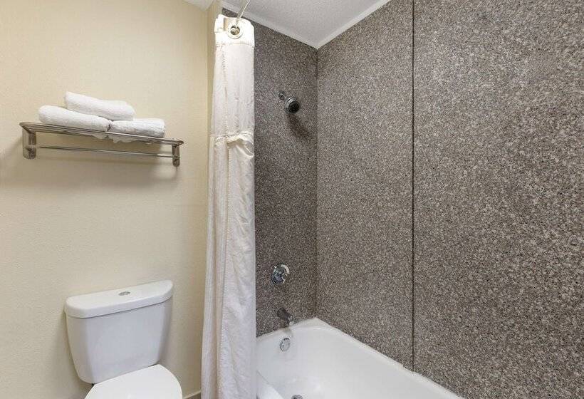 스탠다드 룸 더블 침대, Best Western St. Louis Inn