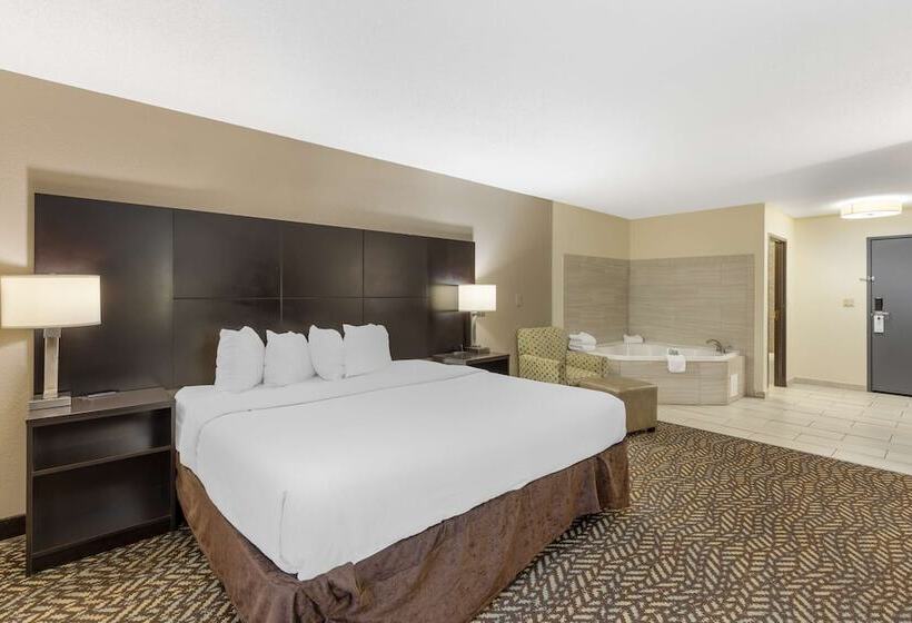 스탠다드 룸 더블 침대, Best Western St. Louis Inn