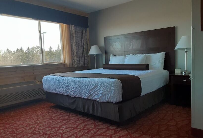 스탠다드 룸, Quality Inn