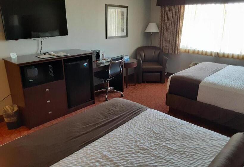 스탠다드 룸, Quality Inn