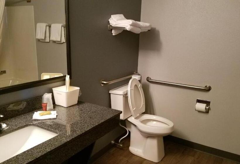 장애인을 위한 킹사이즈 침대 스탠다드 룸, Quality Inn