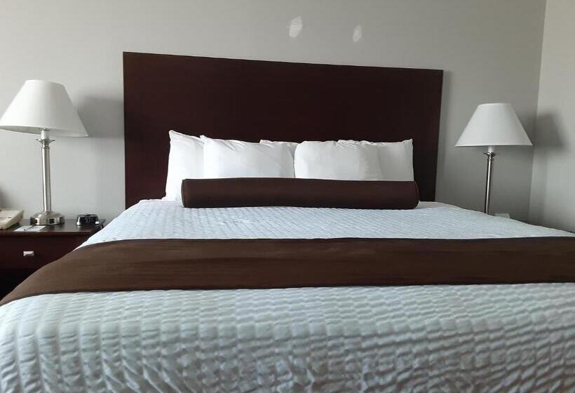 장애인을 위한 킹사이즈 침대 스탠다드 룸, Quality Inn