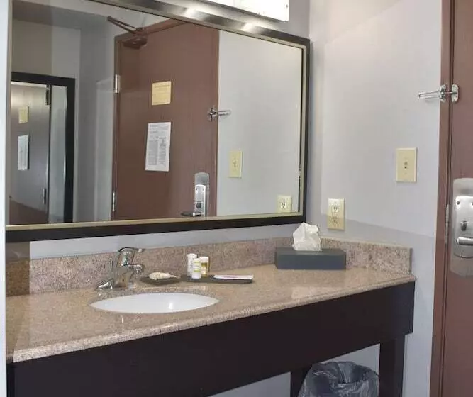 اتاق دلوکس مخصوص معلولین, La Quinta Inn By Wyndham St. Louis Hazelwood  Airport North