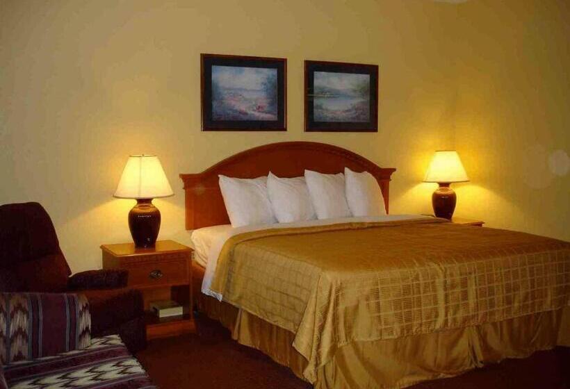 Стандартный Номер Кровать Кинг, Quality Inn & Suites Cvg Airport