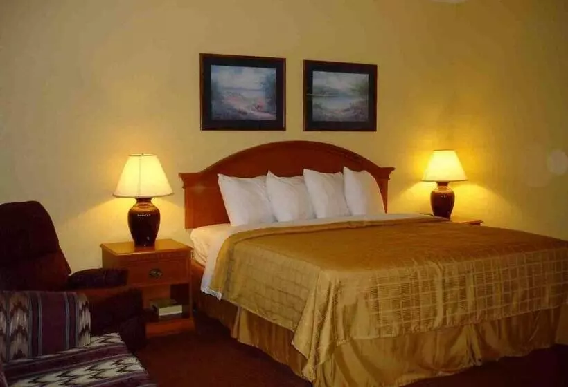 キングサイズベッドのスタンダードルーム, Quality Inn & Suites Cvg Airport