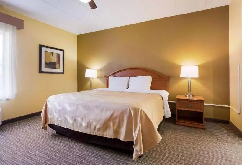 キングサイズベッドのデラックススイート, Quality Inn & Suites Cvg Airport