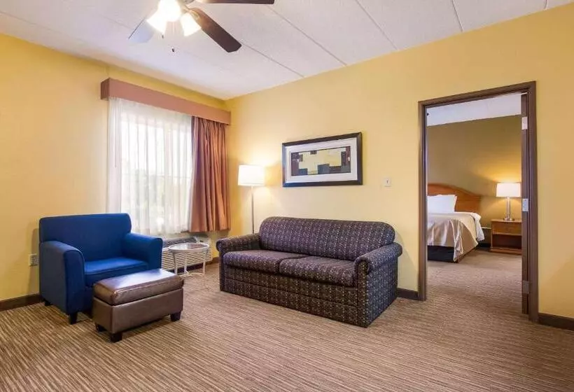 キングサイズベッドのデラックススイート, Quality Inn & Suites Cvg Airport