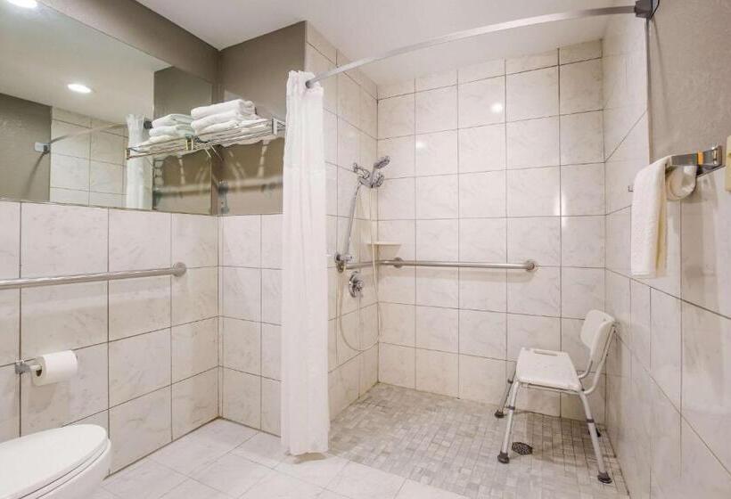 身障者適用スタンダードルーム, Quality Inn & Suites Cvg Airport