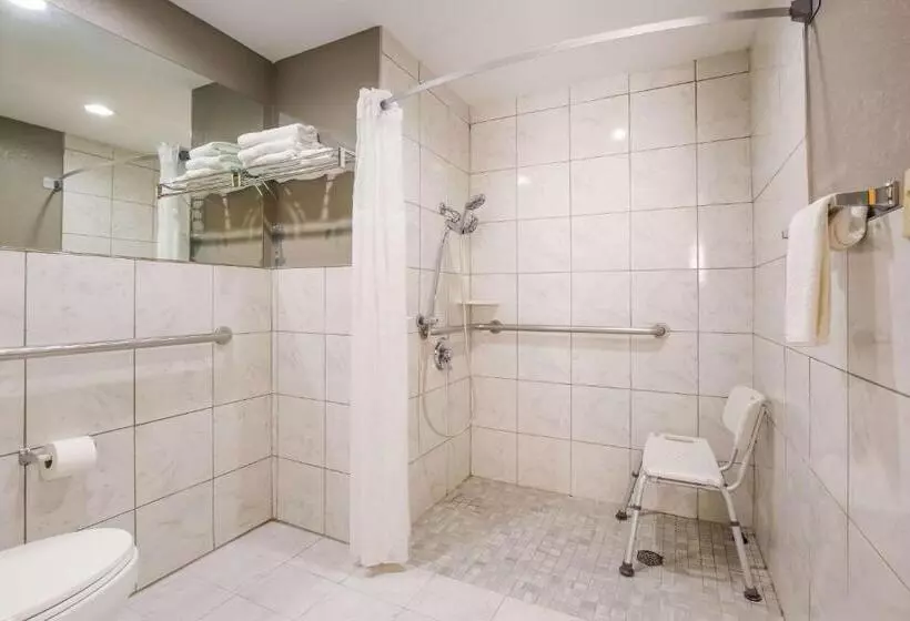 身障者適用スタンダードルーム, Quality Inn & Suites Cvg Airport