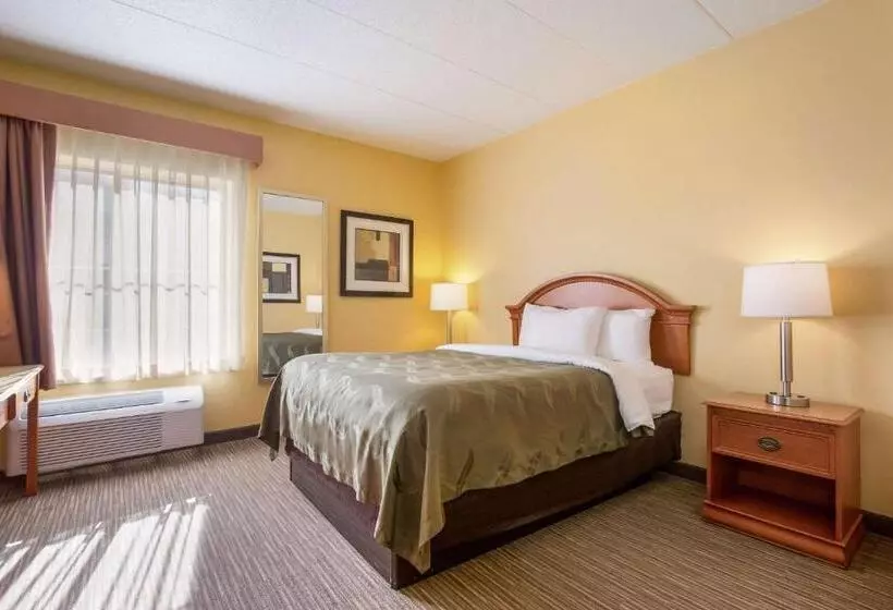 身障者適用スタンダードルーム, Quality Inn & Suites Cvg Airport