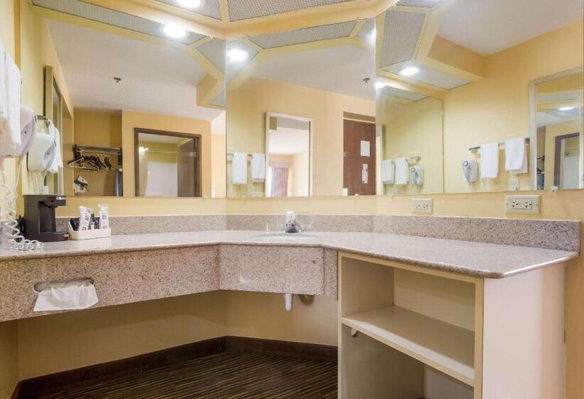 デラックススタジオ, Quality Inn & Suites Cvg Airport